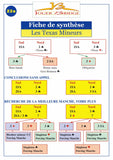 Fiche de synthèse à l'unité